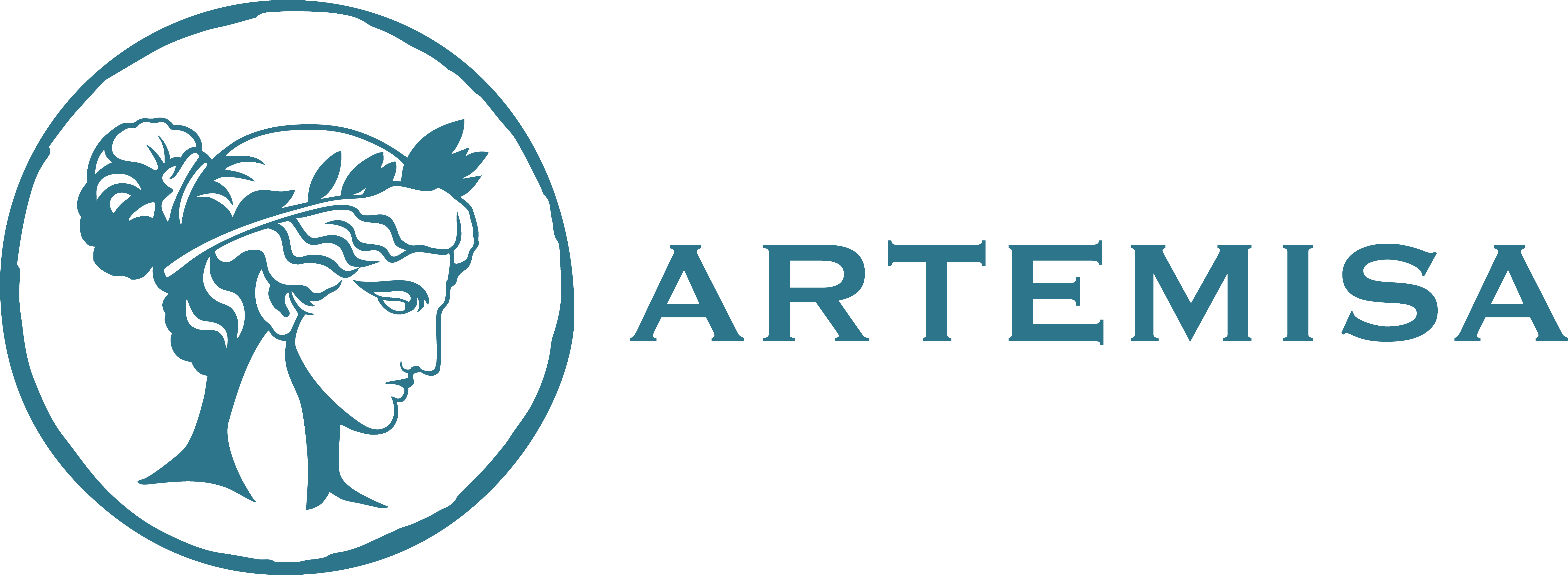 Academia Artemisa Logo